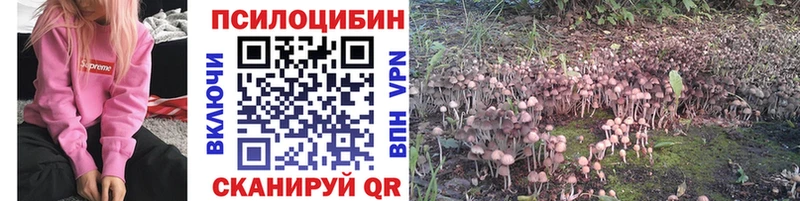 где продают наркотики Тейково Галлюциногенные грибы ЛСД