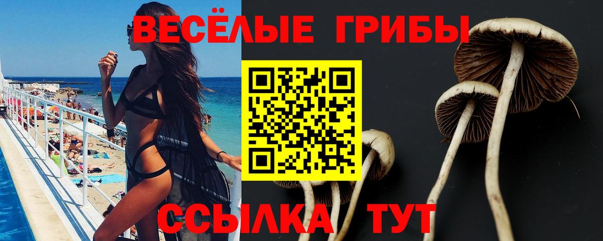 Галлюциногенные грибы Magic Shrooms Тейково
