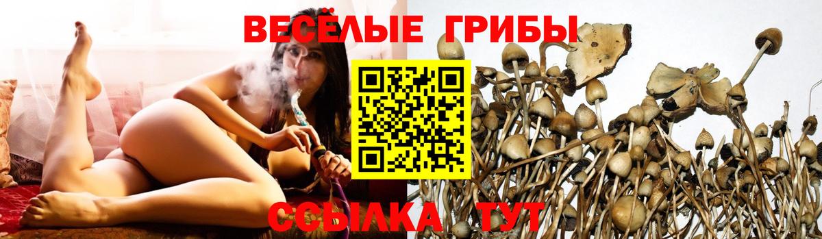 Псилоцибиновые грибы Magic Shrooms  Вход с VPN  Тейково  Галлюциногенные грибы MAGIC MUSHROOMS 